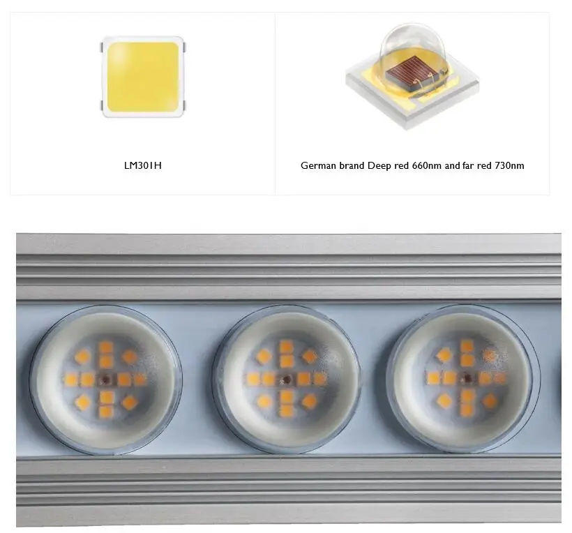 Luz de Cultivo LED de Espectro - Led Strip Lights avaliação e preço